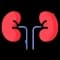 Renal Medicine Icon - HDNA Aarogyam Hospital