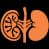 Nephrology